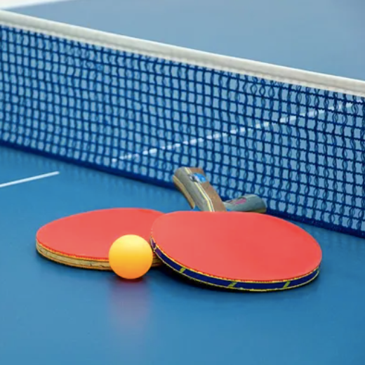 Silvera - Tennis de Table Premium